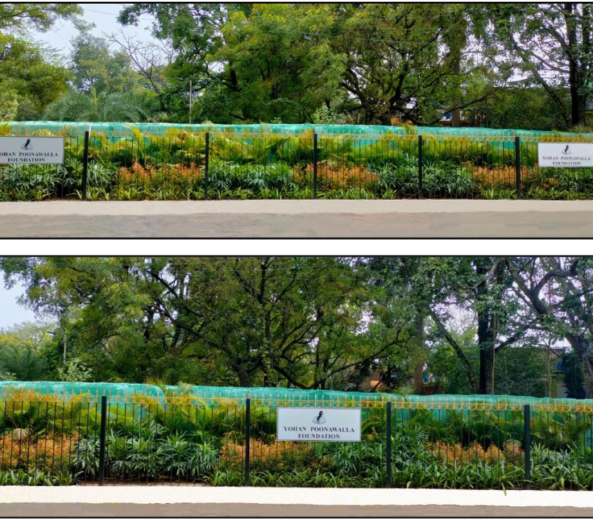 Beautification and Garden on South Main Road​ by Yohan Poonawalla